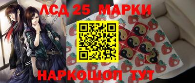 стафф Донской