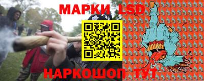 стафф Донской