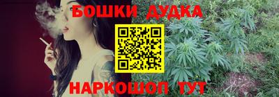 СК Дубна