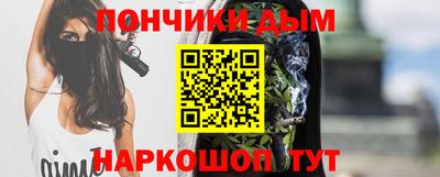 СК Дубна