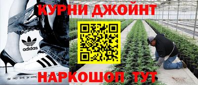 стафф Донской