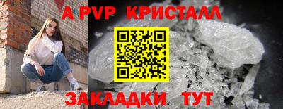 стафф Донской
