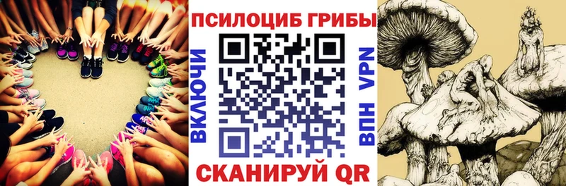 хочу   Краснокаменск  blacksprut ТОР  Псилоцибиновые грибы Psilocybe 