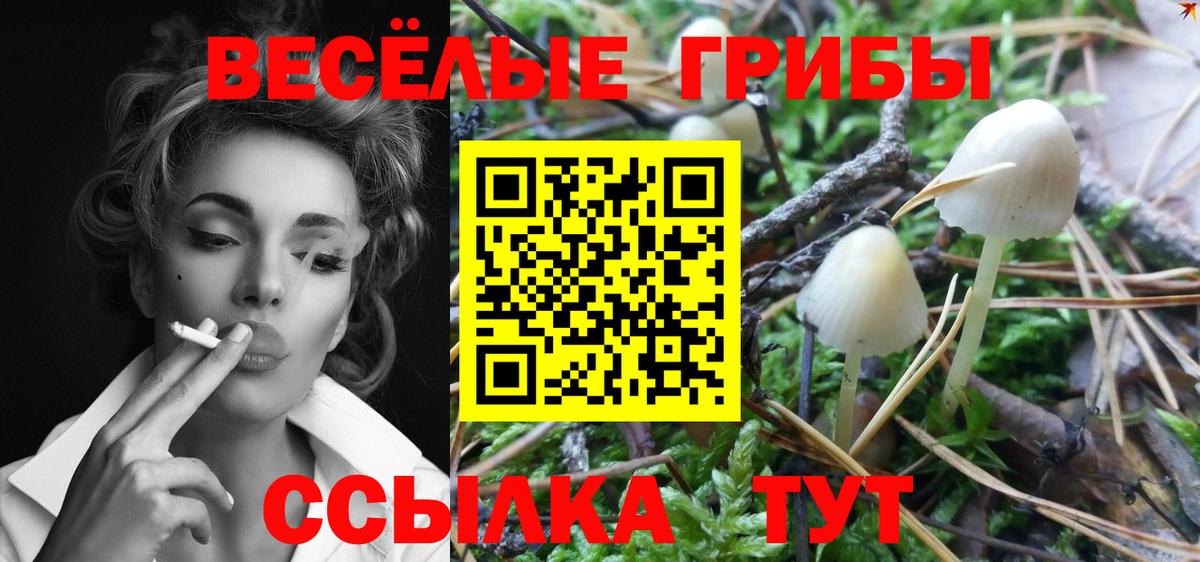 Галлюциногенные грибы Psilocybe  Вход с VPN  Краснокаменск 